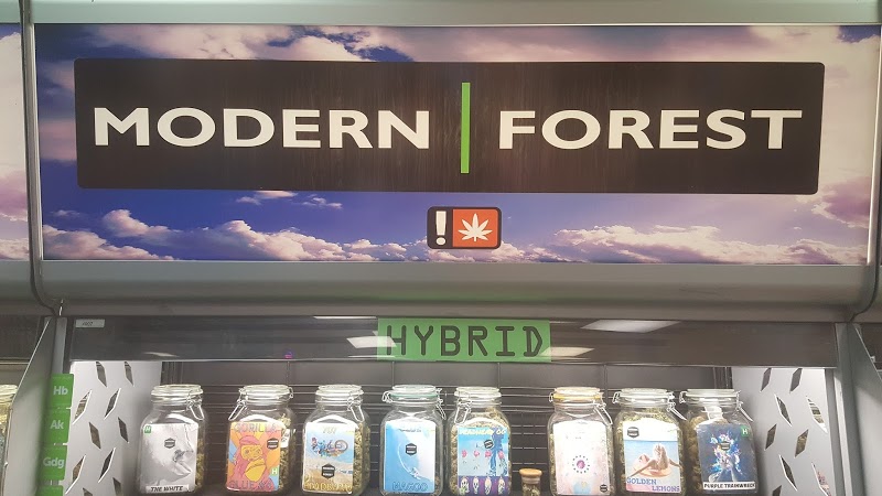 Modern Forest