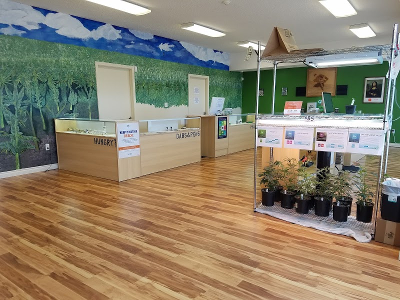Oasis Cannabis Monmouth