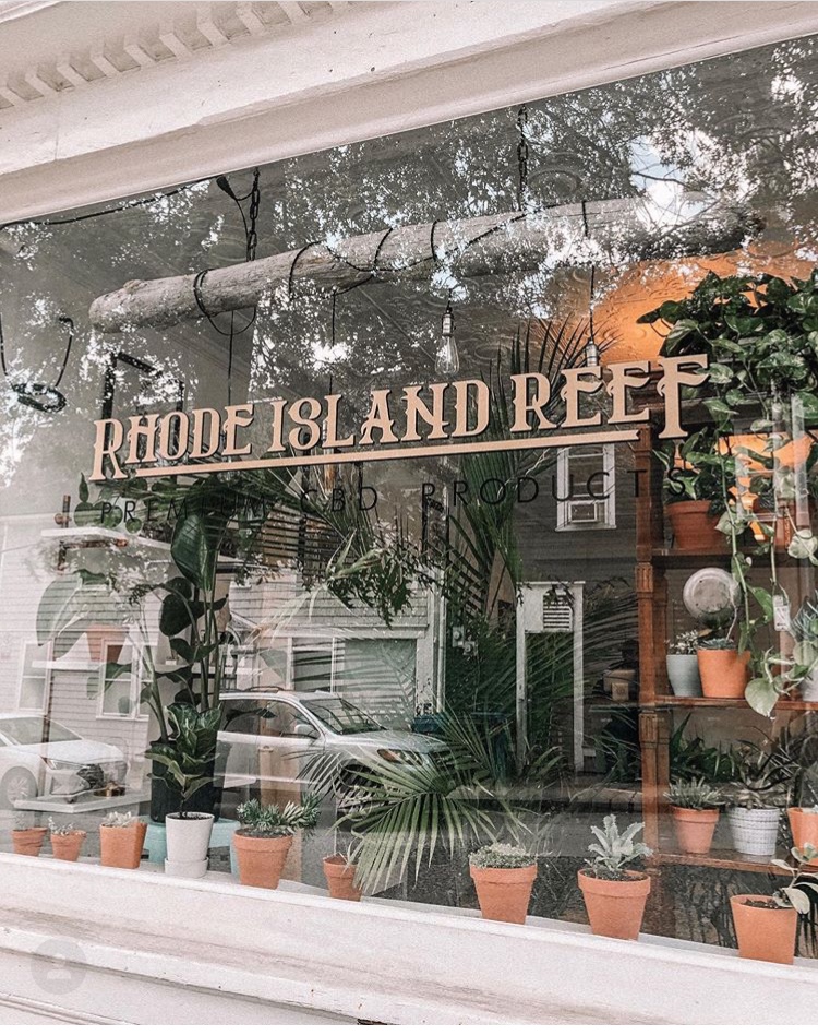 Rhode Island Reef