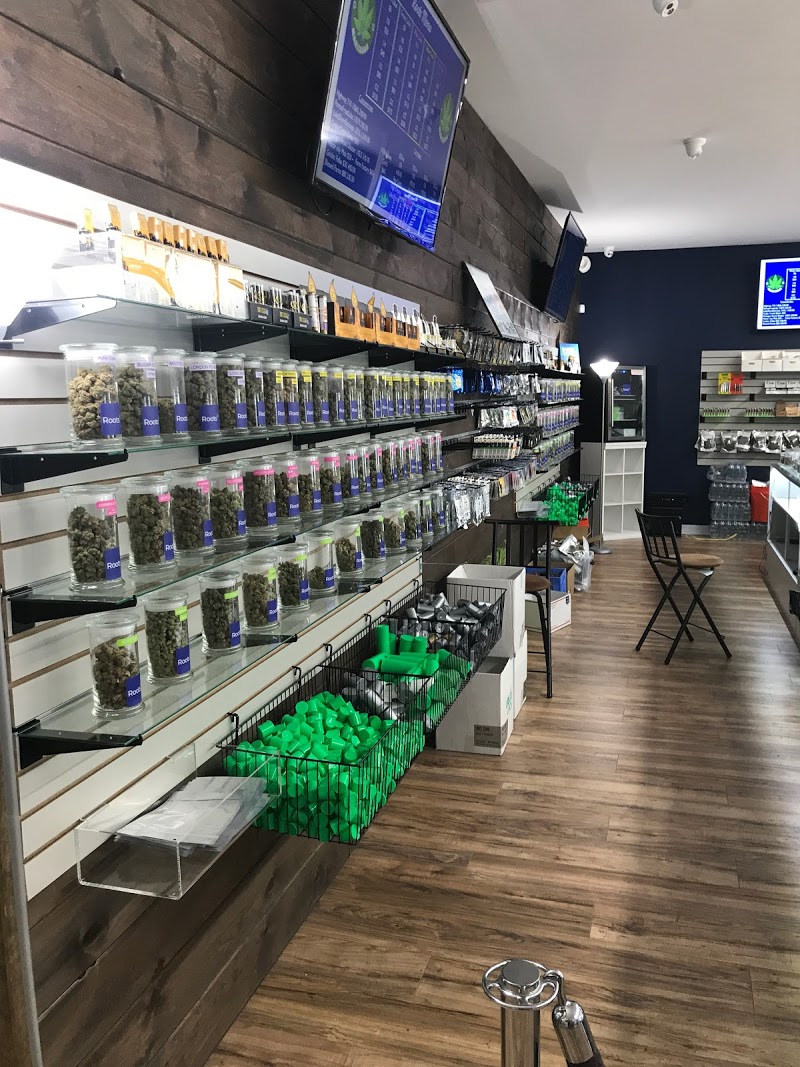 Best Cannabis Dispensaries in Bay City, Michigan