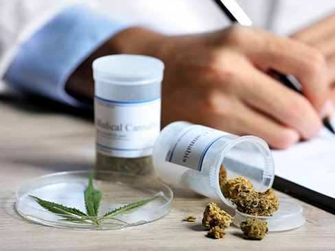 The Green Remedy - Marijuana Clinic in PA