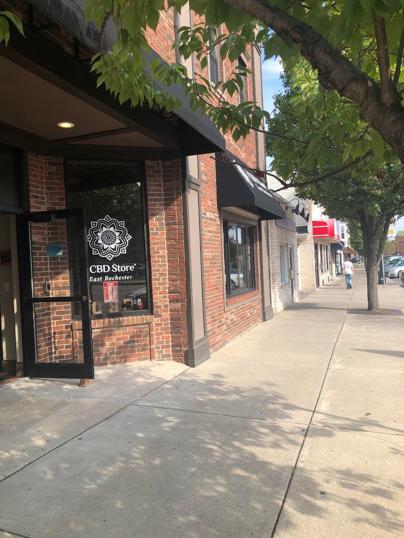 Your CBD Store - East Rochester, NY