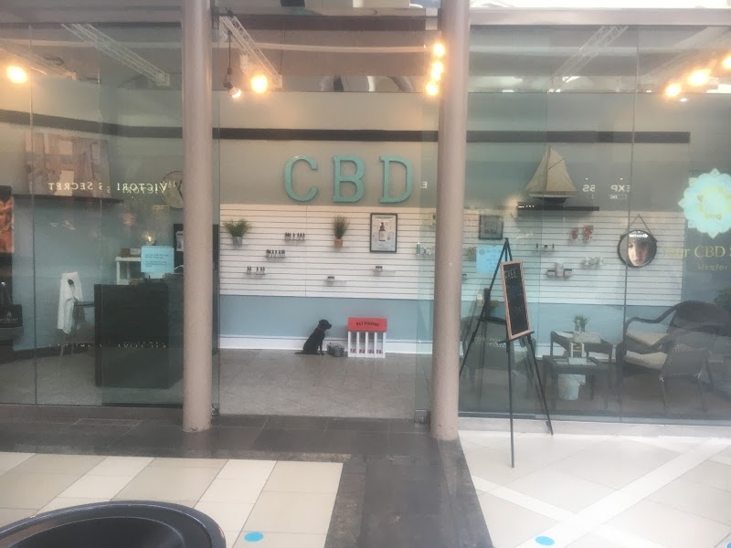 Your CBD Store - Mentor, OH